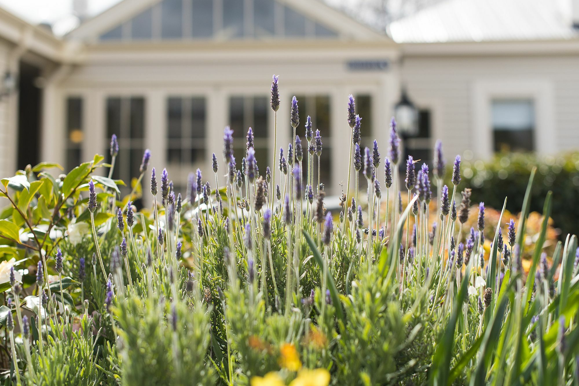 Kurrajong House Bed & Breakfast